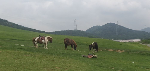 旅顺潜艇博物馆第 38 张图片