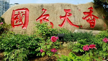 东湖牡丹园第 19 张图片