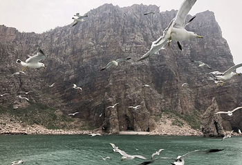 长岛海上游第 58 张图片