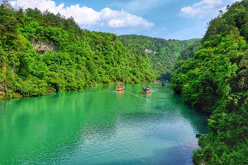 张家界大峡谷第 165 张图片