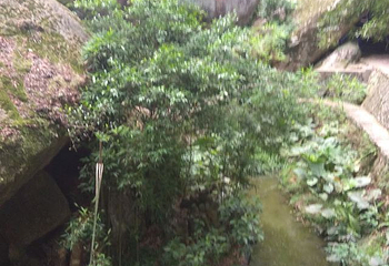 青芝山风景区第 23 张图片