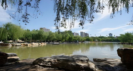 郑州市动物园第 25 张图片