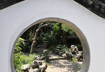 醉白池第 39 张图片