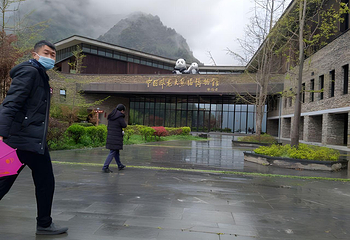卧龙中华大熊猫苑神树坪基地第 89 张图片
