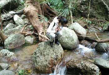 七仙岭君澜野溪温泉第 41 张图片