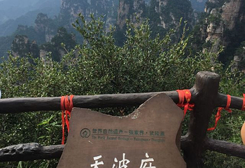 杨家界索道第 16 张图片