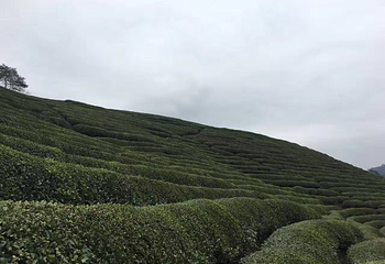 黄岗山大峡谷第 16 张图片
