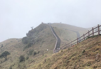 天龙顶国家山地公园第 11 张图片