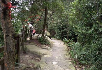 缙云山第 52 张图片