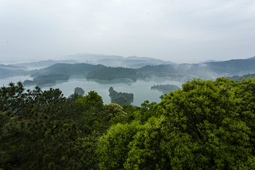 万绿湖•镜花缘游览区第 53 张图片