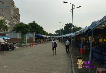 北仑河中越漂流第 8 张图片
