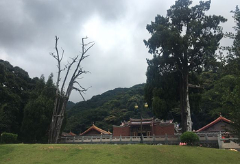 灵光寺第 19 张图片