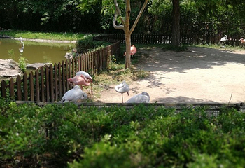 精彩上海旅游联票第 20 张图片