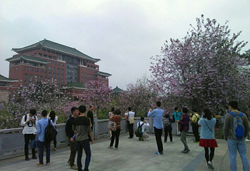 华南农业大学第 11 张图片