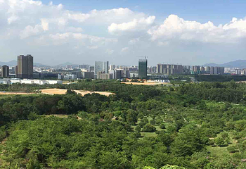 南山生态园第 16 张图片