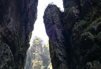广西大瑶山国家级自然保护区第 33 张图片