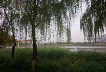 八咏公园第 6 张图片