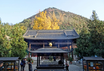 终南山观音禅寺第 17 张图片