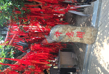 战地观光园第 10 张图片