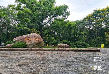 杭州花圃第 7 张图片