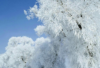 新源县那拉提国际滑雪场第 12 张图片