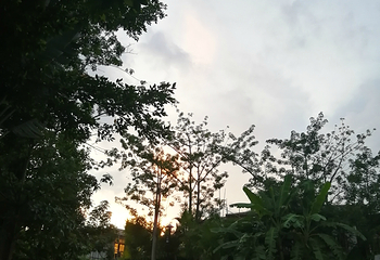 海南百花岭热带雨林文化旅游区第 69 张图片