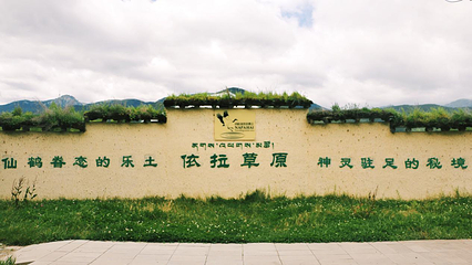 纳帕海归青草原第 16 张图片