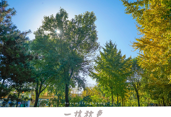 石家庄植物园第 16 张图片