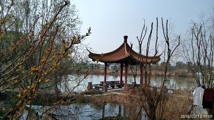 南京杨柳湖风景区第 4 张图片