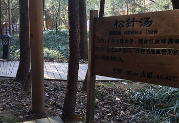 鸡公山依云森林温泉第 16 张图片