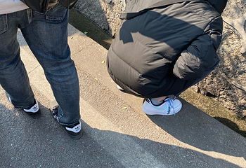 南岳大庙第 35 张图片