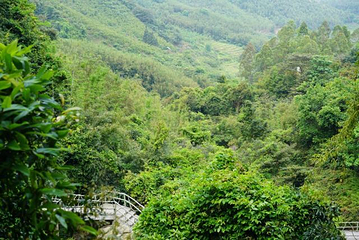 亚婆田白水寨自然生态旅游度假区第 30 张图片
