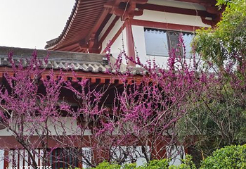丰庆公园第 16 张图片