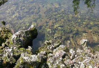 温泉洗浴广场第 29 张图片