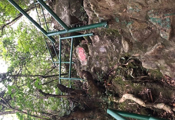 厦门野山谷景区第 48 张图片