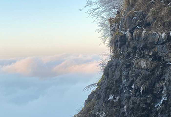 金佛山第 151 张图片