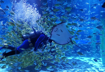 兰州极地海洋世界第 20 张图片