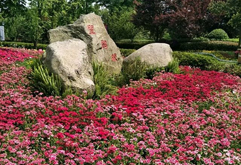 蜀国鹃都第 19 张图片