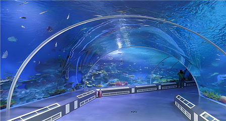 日照海洋公园第 26 张图片