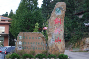 文成铜铃山森林公园景区第 58 张图片