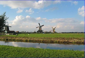 未来农林大世界