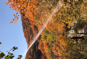 坡峰岭第 64 张图片