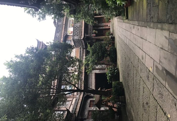 黄龙溪蝴蝶迎新主题园第 16 张图片