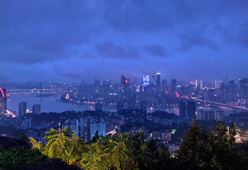 南山一棵树观景台第 37 张图片