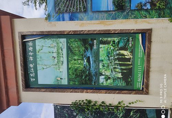 海南百花岭热带雨林文化旅游区第 63 张图片