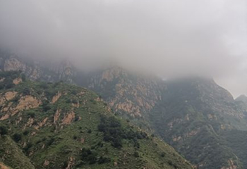 漫山花溪谷第 26 张图片