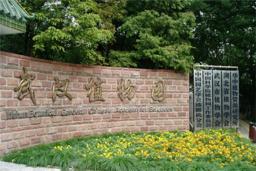 武汉植物园第 42 张图片