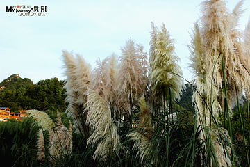 花溪公园第 25 张图片