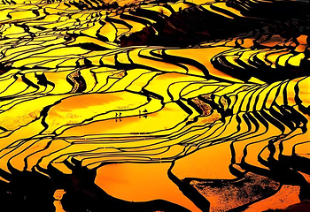 龙脊梯田第 56 张图片