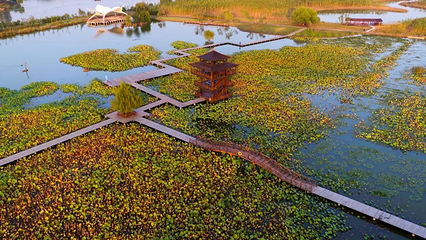 双龙湖湿地观鸟园第 17 张图片